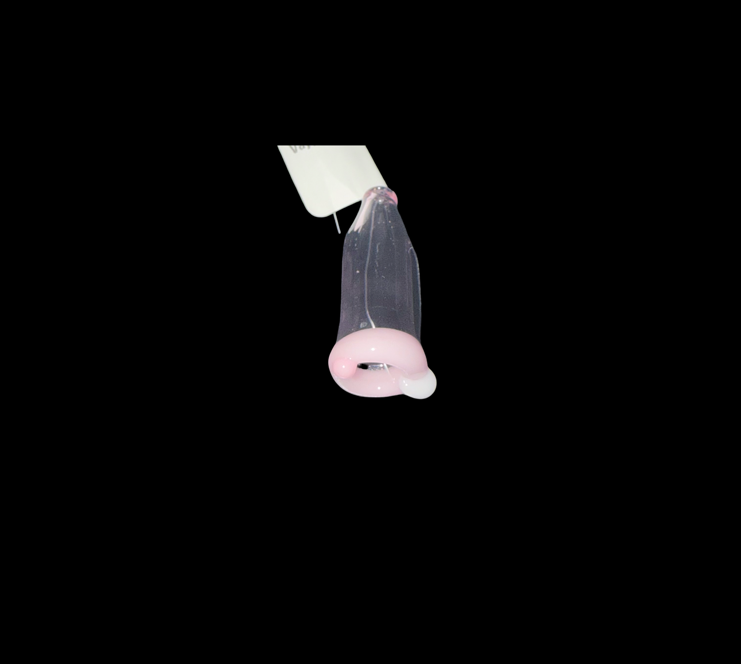 Vajay J Holder